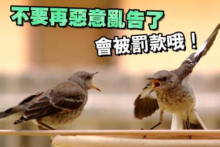 【佳音電台 生活法律一點通-蘇家宏律師】不要再惡意亂告了 會被罰款哦！