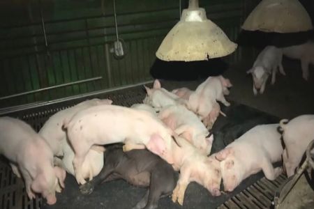 《公視新聞-王薏瑄律師》303大停電／律師：受損店家可以台電違反供電契約求償